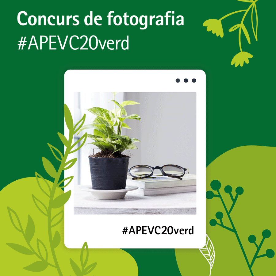 Concurs APEVC20verd