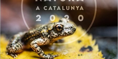 IMATGE Informe_Estat_Natura