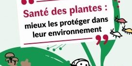 foto webinars planta cite