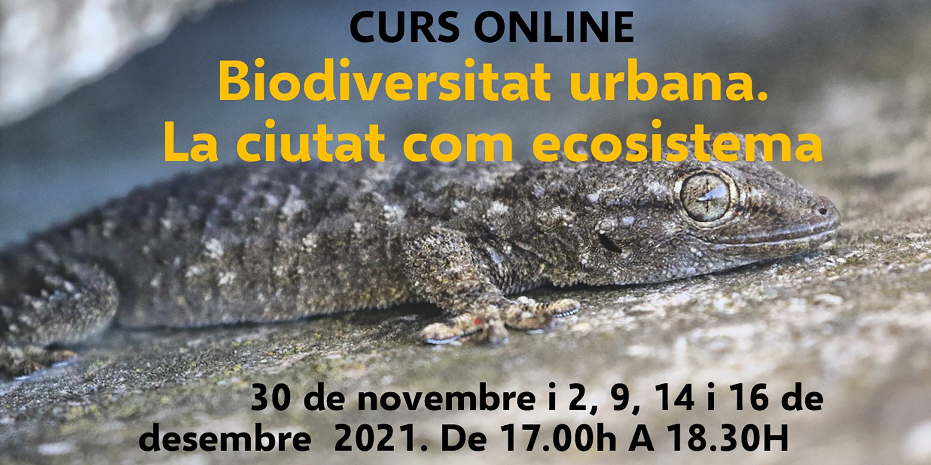 Publicacio-curs-fauna-2