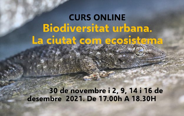 Publicacio-curs-fauna-2