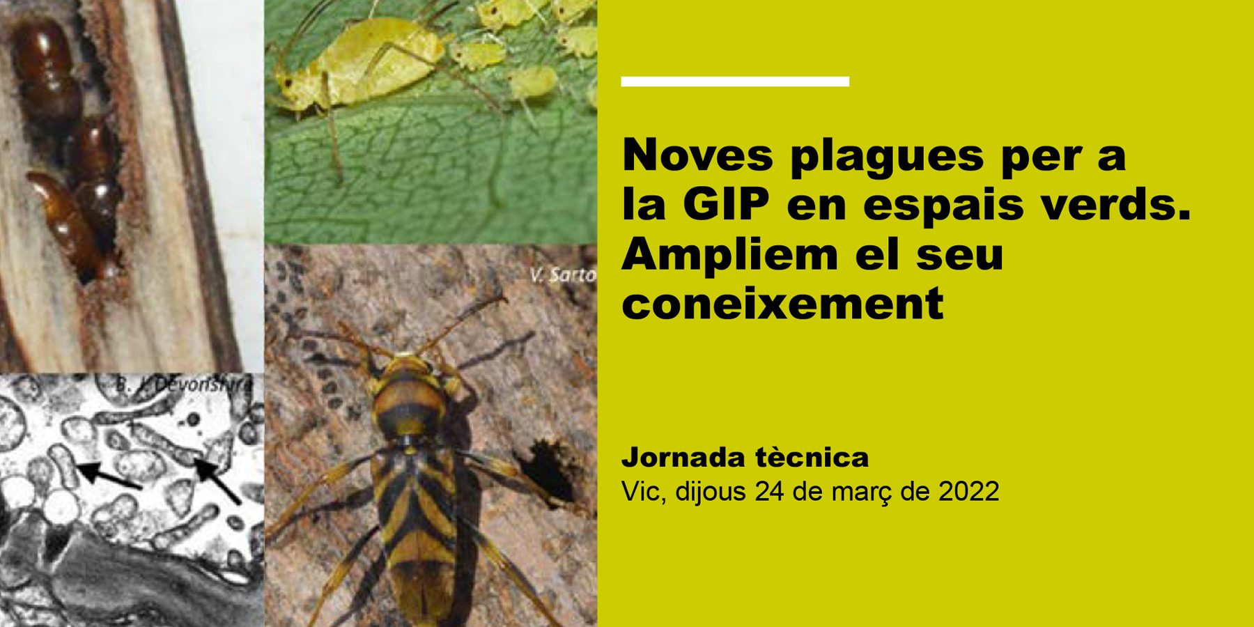 Vic_GIP_2403_2022_33-(2)