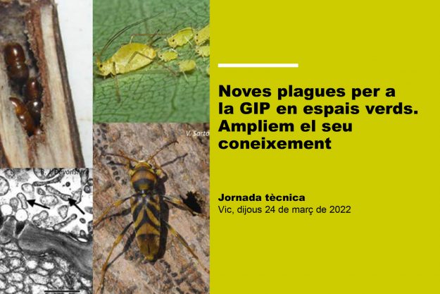 Vic_GIP_2403_2022_33-(2)