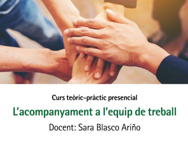 APEVC-curs-acompanyament-3