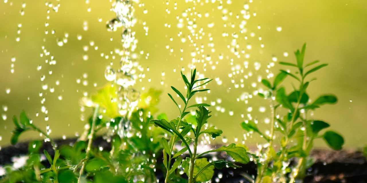 waterdrop-2342870_1280