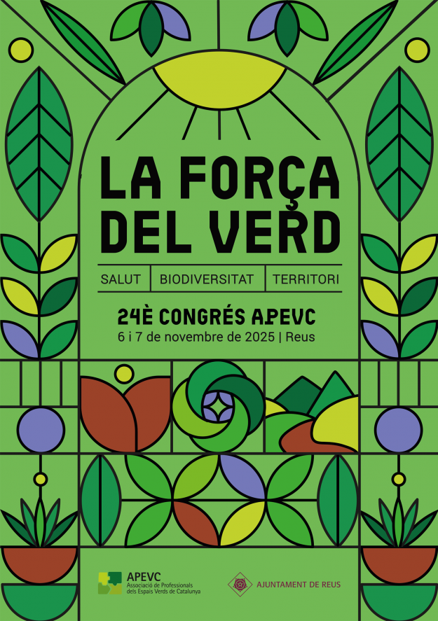 Programa_APEVEC_v3-1